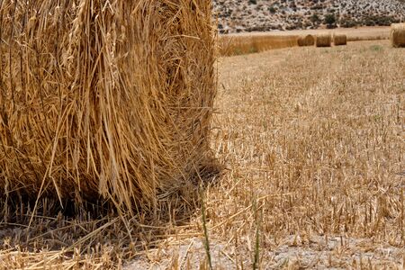 Half harvested yellow ripe wheat field with a haystacks surrounded by majestic mountains in a rural...