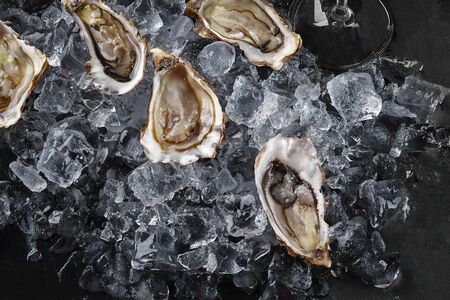 Fresh tasty opened oysters in ice on a black stone textured background. Delicacies at a restaurant. Healthy sea food. Top view. Close-up shot.の写真素材