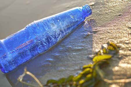 Used blue glass bottle lies on the river bank, next to the algae. Cleaning up trash. People and...