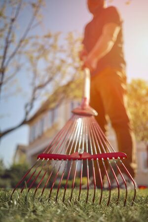 Unrecognizable young male in casual outfit is raking green grass using handheld red rake on a lawn of his backyard. Summer sunny day. Close upの写真素材