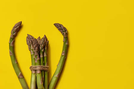 Green asparagus sprouts in bunch are tied with jute thread and without it on yellow background....