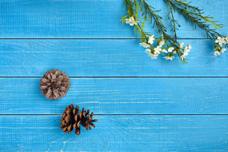 Two dry pine cones and artificial branches with white blooming flowers against blue wooden...