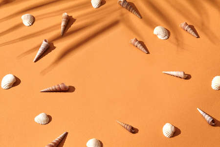 Different seashells with shadow of palm branch on brown background. Summer vacation, travelling and...