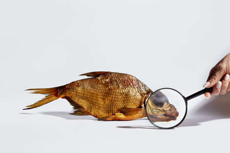 Cold-smoked bream on white background with magnifying glass in female hand