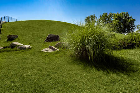 Summer landscape with hill covered with green grass against backdrop of blue skyの写真素材