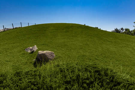 Summer landscape with green grass on hillside on blue sky backgroundの写真素材