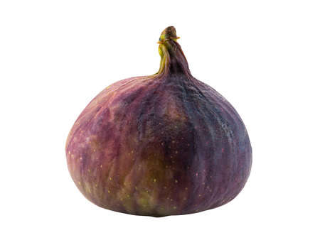 Purple fig isolated on white with copy space for text or images. Soft, sweet fruit, skin is very thin, has many small seeds inside of it. Close-up.の写真素材