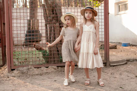 Two friendly tween sisters holding hands standing near poultry enclosure in courtyardの写真素材