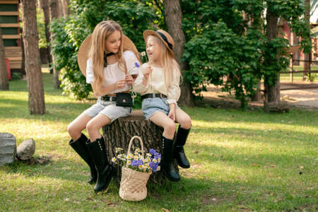 Two happy preteen sisters chatting merrily on tree stumps in summer parkの写真素材