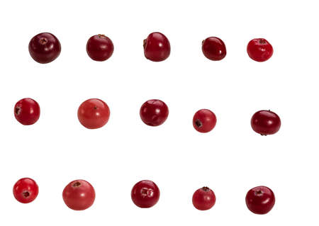 Ripe red cranberries arranged isolated on white backgroundの写真素材