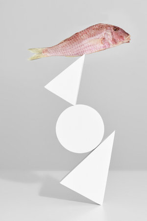 Air-dried red mullet on top of tower of geometric shapesの写真素材