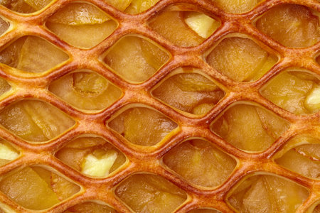 Macro shot of apple pie with custard and lattice topの写真素材