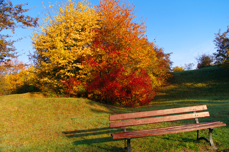 yet another autumn sceneの写真素材