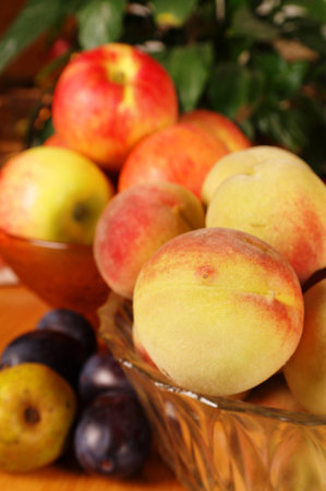 ripe autumnal fruitsの写真素材