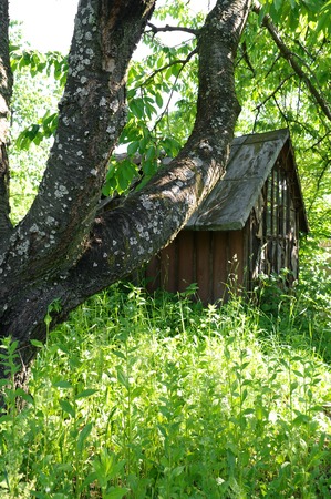 old abandoned hut on a wildernessの写真素材
