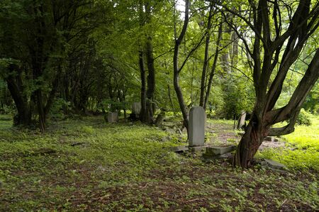 forgotten grave on the old neglected jewish cemeteryの写真素材