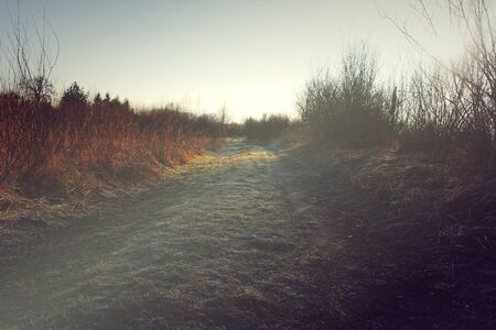 sunny autumnal country road in the vintage styleの写真素材