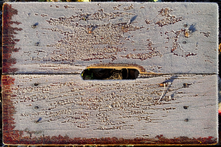 view from above on the frozen wooden stoolの写真素材