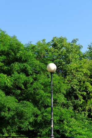 single lantern against the bush at the sunny summer dayの写真素材