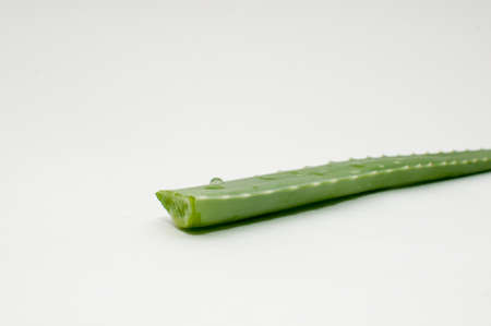Aloe vera plant being prepared to make a drink