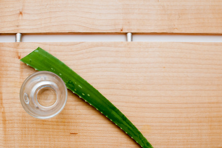 Aloe vera plant being prepared to make a drinkの写真素材