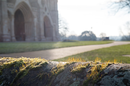 Looking over the wall to the park and cathedralの写真素材