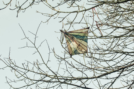 Aged toy kite stuck in a treeの写真素材