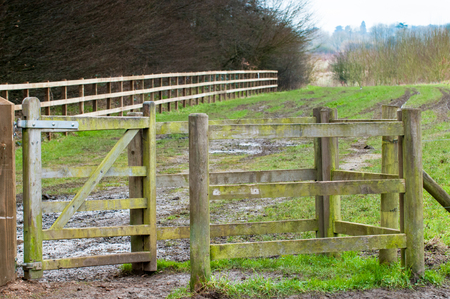 Open gate to a muddy countryside pathの写真素材