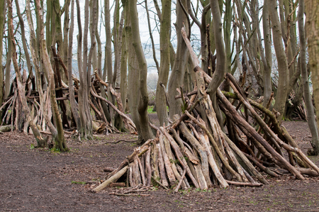 Hand made stick den in a forest clearingの写真素材