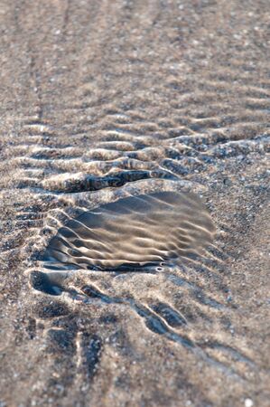 Water flowing over sand and a stone at the beach