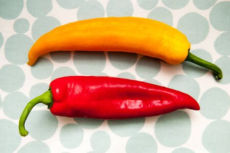 Two peppers on a bright patterned background