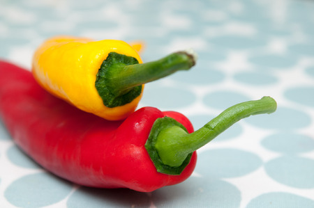 Two peppers on a bright patterned backgroundの写真素材