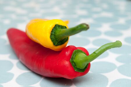 Two peppers on a bright patterned backgroundの写真素材