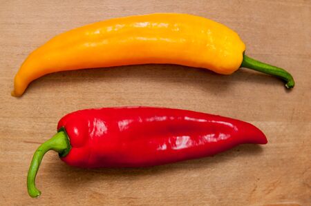 Two peppers on a bright patterned backgroundの写真素材