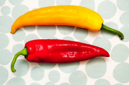 Two peppers on a bright patterned backgroundの写真素材
