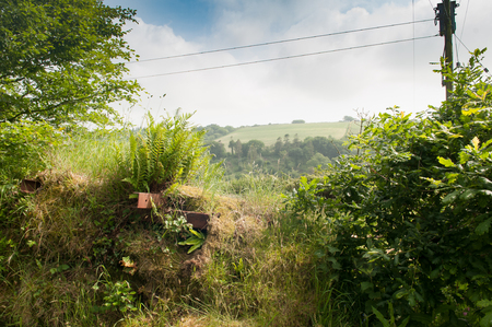 View of rolling hills through a hedgeの写真素材