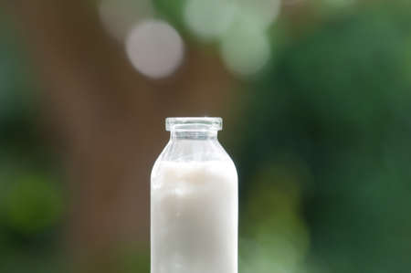Bottle of fresh milk on natural outdoors backgroundの写真素材