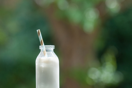 Bottle of fresh milk on natural outdoors background