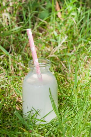 Bottle of fresh milk on natural outdoors backgroundの写真素材