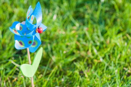 Simple child's toy on white background representing simplicityの写真素材