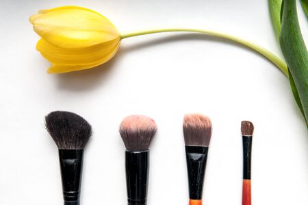 make up brushes for face powder isolated on whiteの写真素材