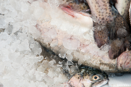Fresh fish, trout on ice at the marketの写真素材