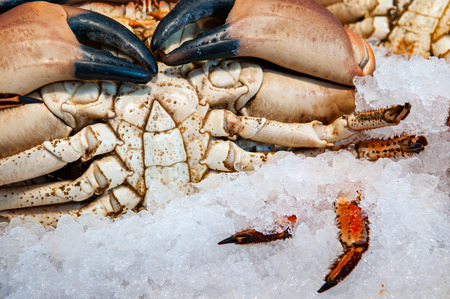 Live crab on ice at the fish marketの写真素材