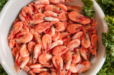 Raw fresh prawns in a large bowlの写真素材