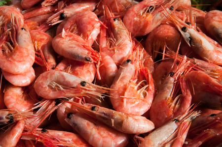Raw fresh prawns in a large bowlの写真素材