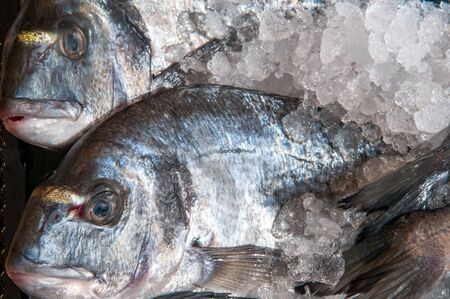 Close up shot of fish on ice at the marketの写真素材