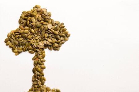 health food concept of natural grainの写真素材
