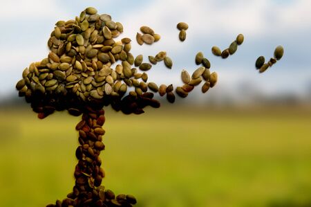 health food concept of natural grainの写真素材