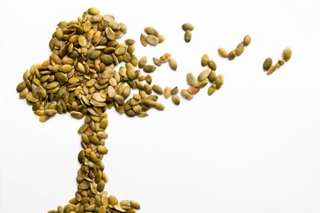 health food concept of natural grainの写真素材