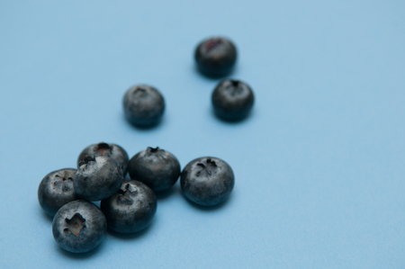 Blueberry isolated on blue, rich in antioxidants